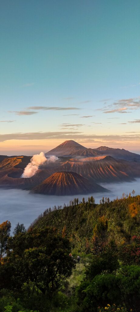 A stunning aerial view of Mount Bromo surrounded by lush greenery and clouds at sunrise.